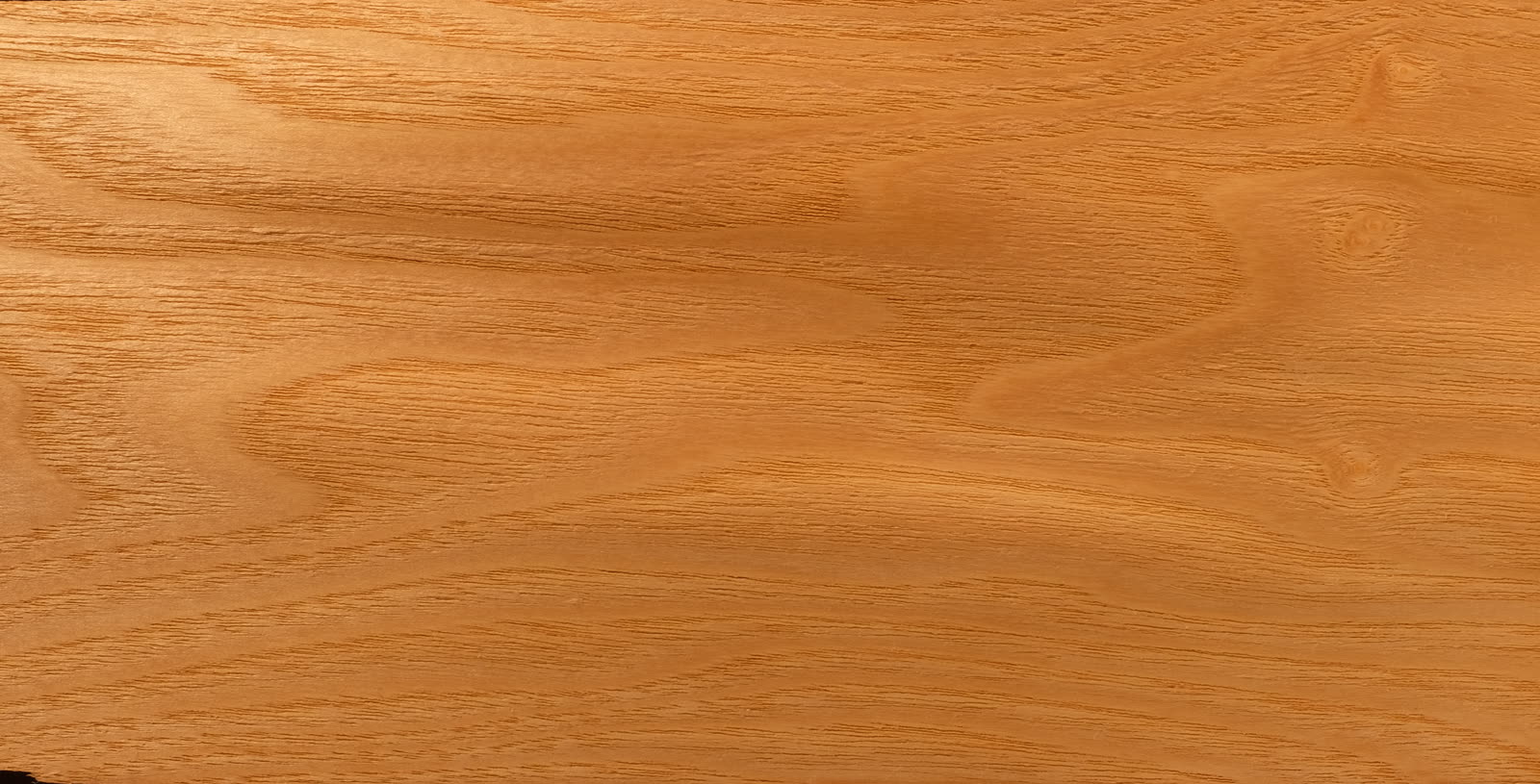 Grain et teinte du frêne